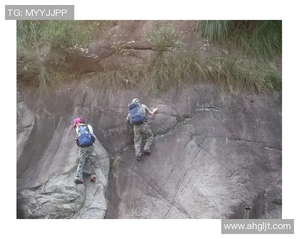 从零基础到高手:全面解析攀岩比赛的技巧与经验分享 从零基础到高手:全面解析攀岩比赛的技巧与经验分享